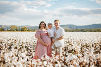 Taryn Maternity