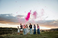 Loughlin Gender Reveal