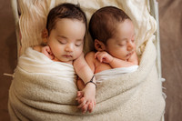 Hema Twins